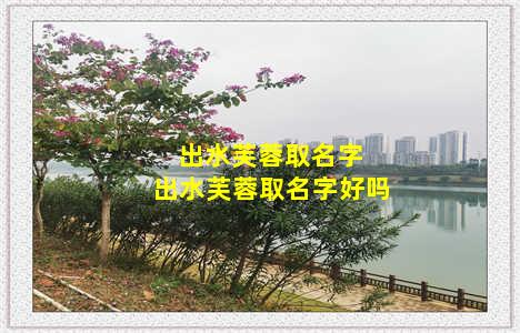 出水芙蓉取名字 出水芙蓉取名字好吗